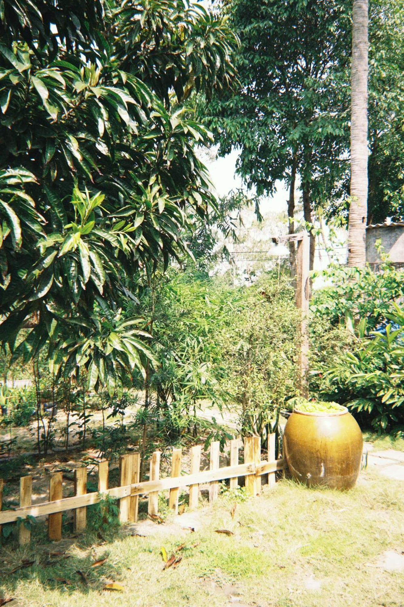 Homestay Dat Phu 绥和市 外观 照片